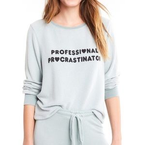 Cute Wildfox Procrastinator crew sweatshirt blue